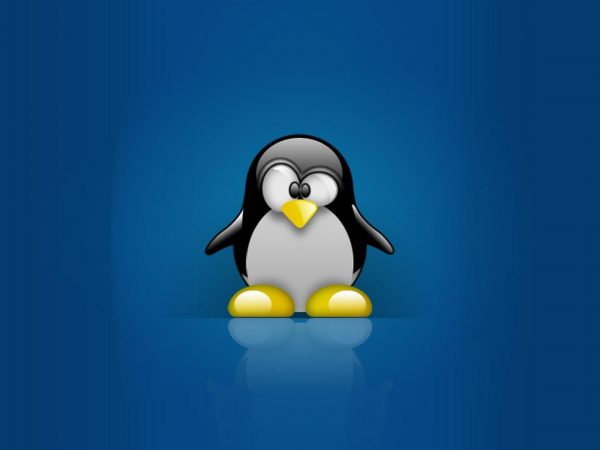 Linux operating system creator: summary