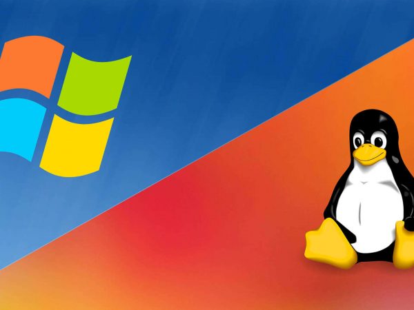 Windows or Linux: select the best operating system