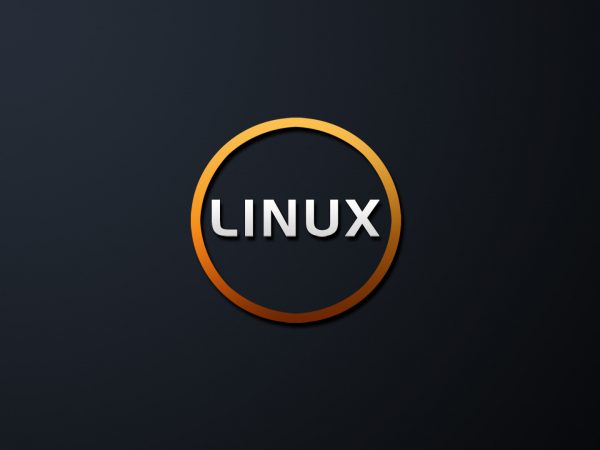 Что проще: установка Linux или дезинсекция